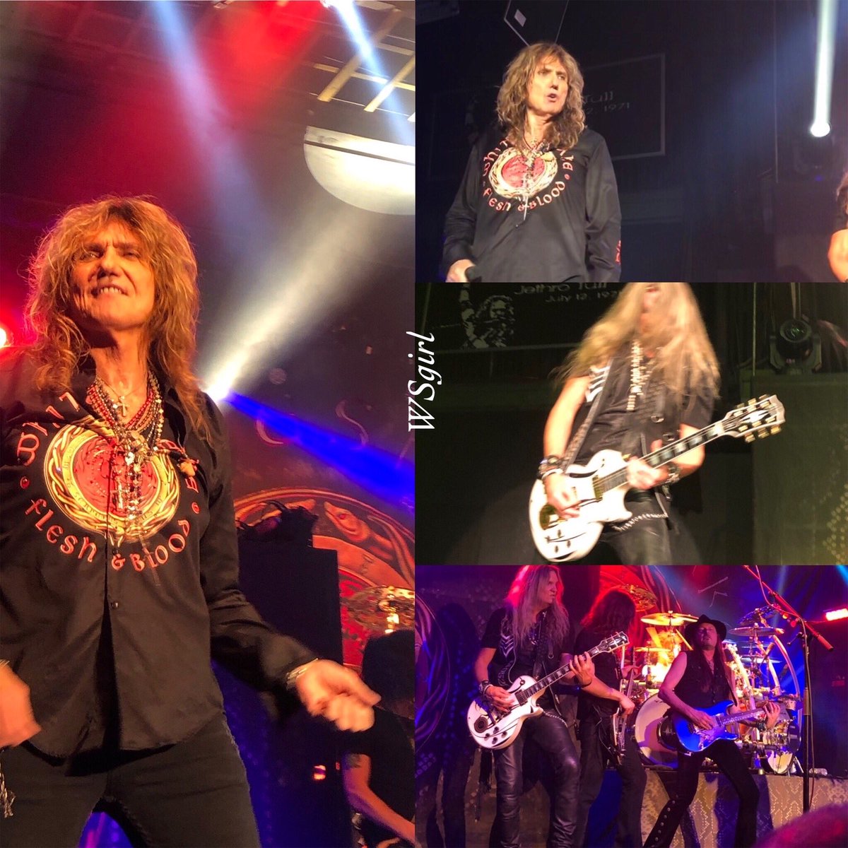WSnakewoman's tweet photo. Feeling nostalgic- Whitesnake-Always & Forever Flesh and Blood https://t.co/zMqNuUaBjN Love this track!β€οΈ β€οΈππΈπ€βοΈπ #Whitesnake #WhitesnakeWithdrawals π https://t.co/QXfcmZkAlm
