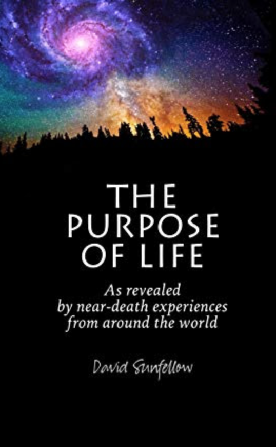 David Sunfellow is partnering with U of H to offer a free copy of his book, The Purpose of Life, to those who purchase &amp; review Waiting to Die on Amazon. To receive this gift, send us a screen shot of your Amazon review to theuniversityofheaven@gmail.com
amazon.com/dp/1627876987?…