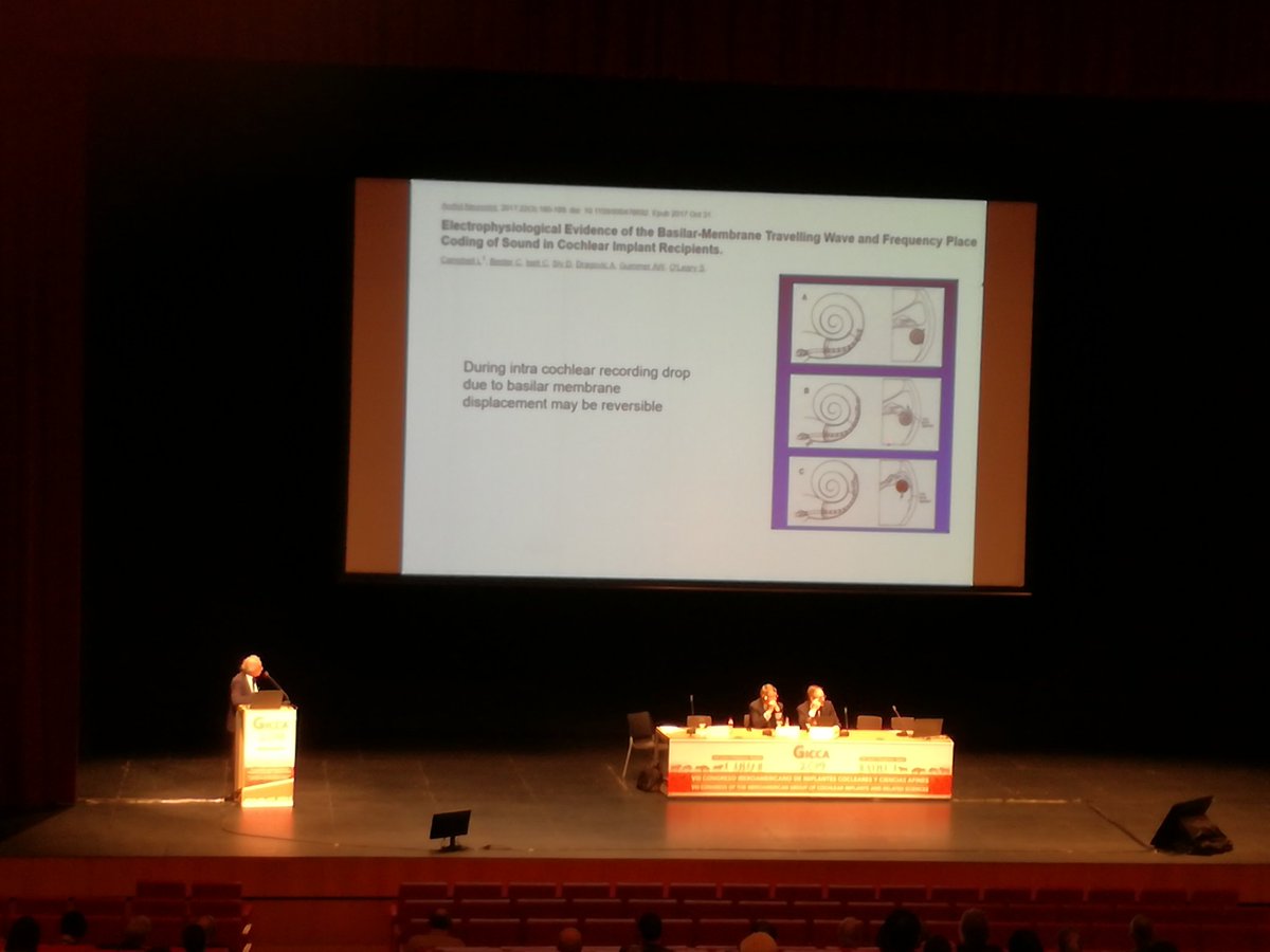 Amat_Teresa's tweet photo. Empezábamos el día en #Gicca2019 con las explicaciones del Dr. Fraysse hablando de abordajes en la cirugía del #implantecoclear y la longitud de los electrodos y si ambos parámetros debían relacionarse.
Se han planteado interesantes dilemas a lo largo del Congreso @federacionaice https://t.co/x85RGOzV0j