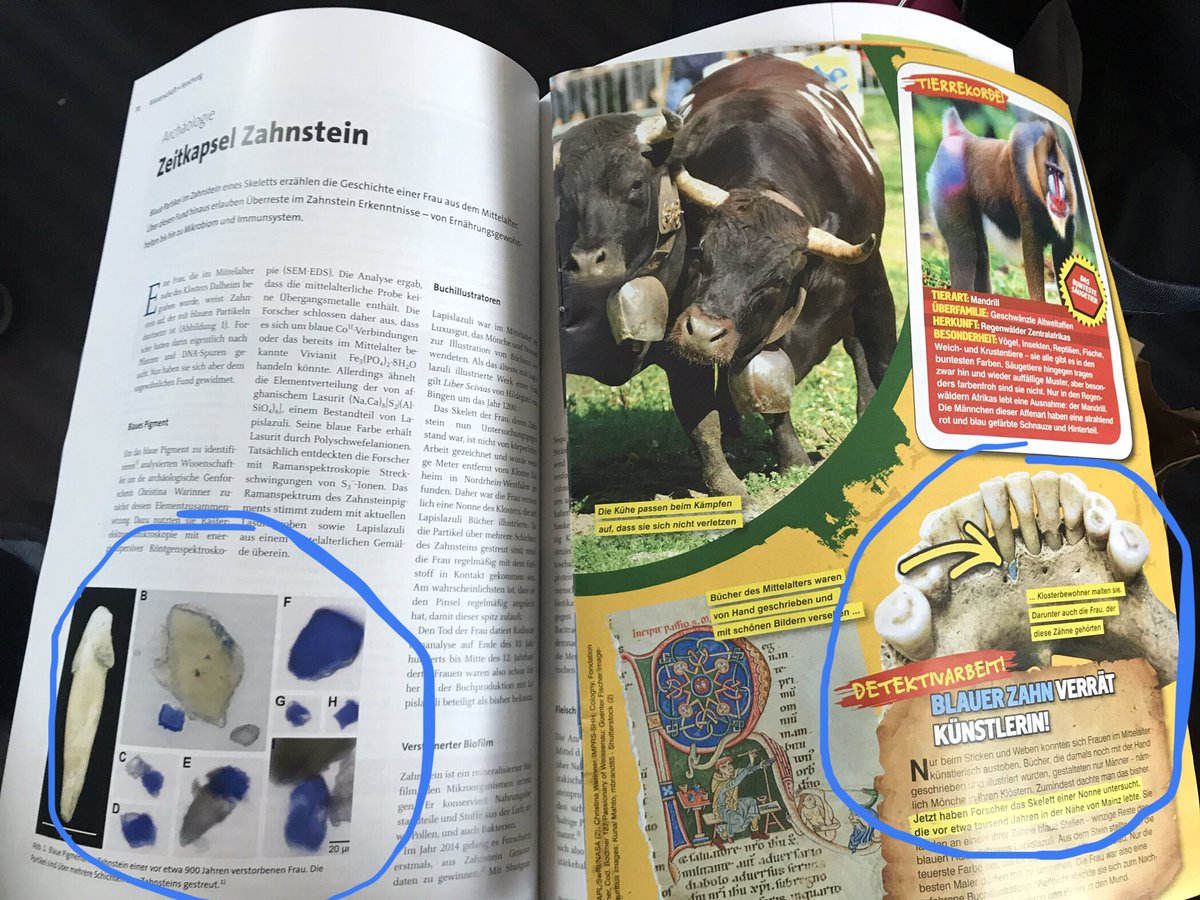 FranEmmerling's tweet photo. So, Nachrichten aus der Chemie @GDCh_aktuell und das Löwenzahnheft des 6-jährigen thematisieren dieselbe Studie. #nextgenerationscientist https://t.co/6oUKmaFlUF