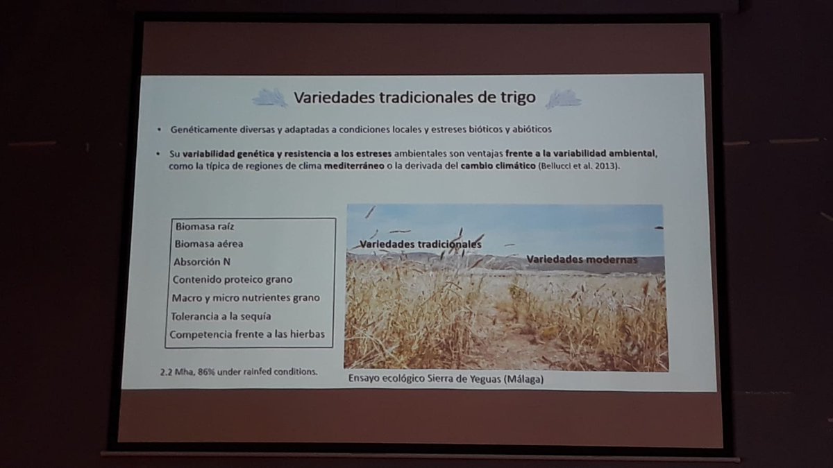 Red Andaluza de Semillas tweet media