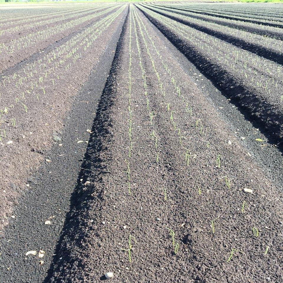 Nick Durchik tweet media