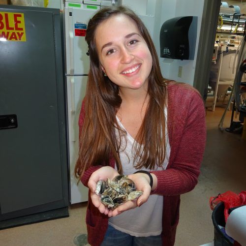UF Forest, Fisheries, & Geomatics Sciences tweet media