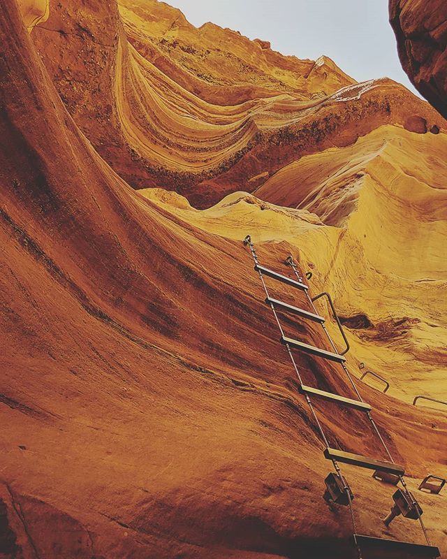 The Red Canyons. Negev Desert

Beautiful yet accessible to hike.

_____________________________

#redcanyon #redcanyonisrael
#desertvibes #negevdesert #hikers #hikes #instahike #hike #hikevibes #hikemore #hiker #negevdesertisrael #eilat🌴 #eilatcity #… bit.ly/2ItGkks