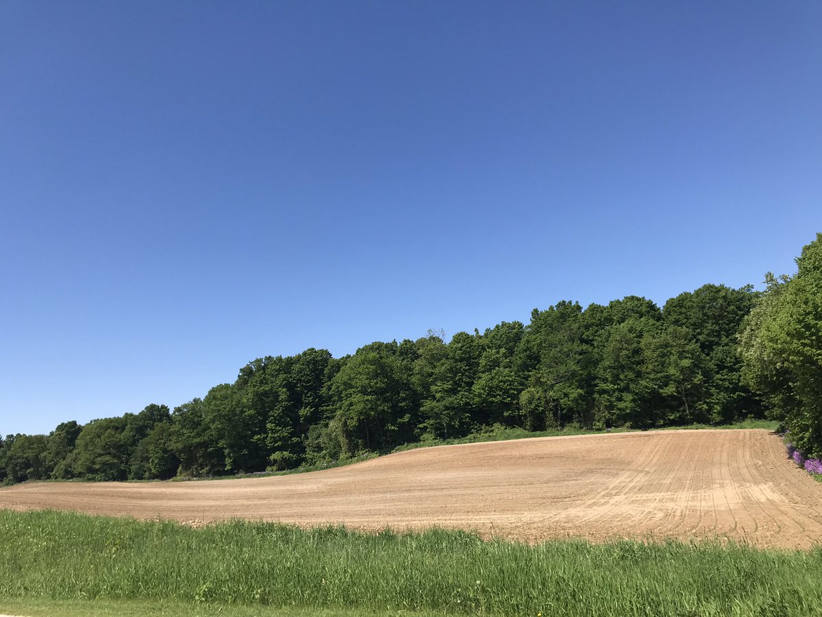 Старый футбольный стадион. Земли сельскохозяйственного назначения. Лавандовые поля во франции. 1 fs19. Зеленые холмы италии.