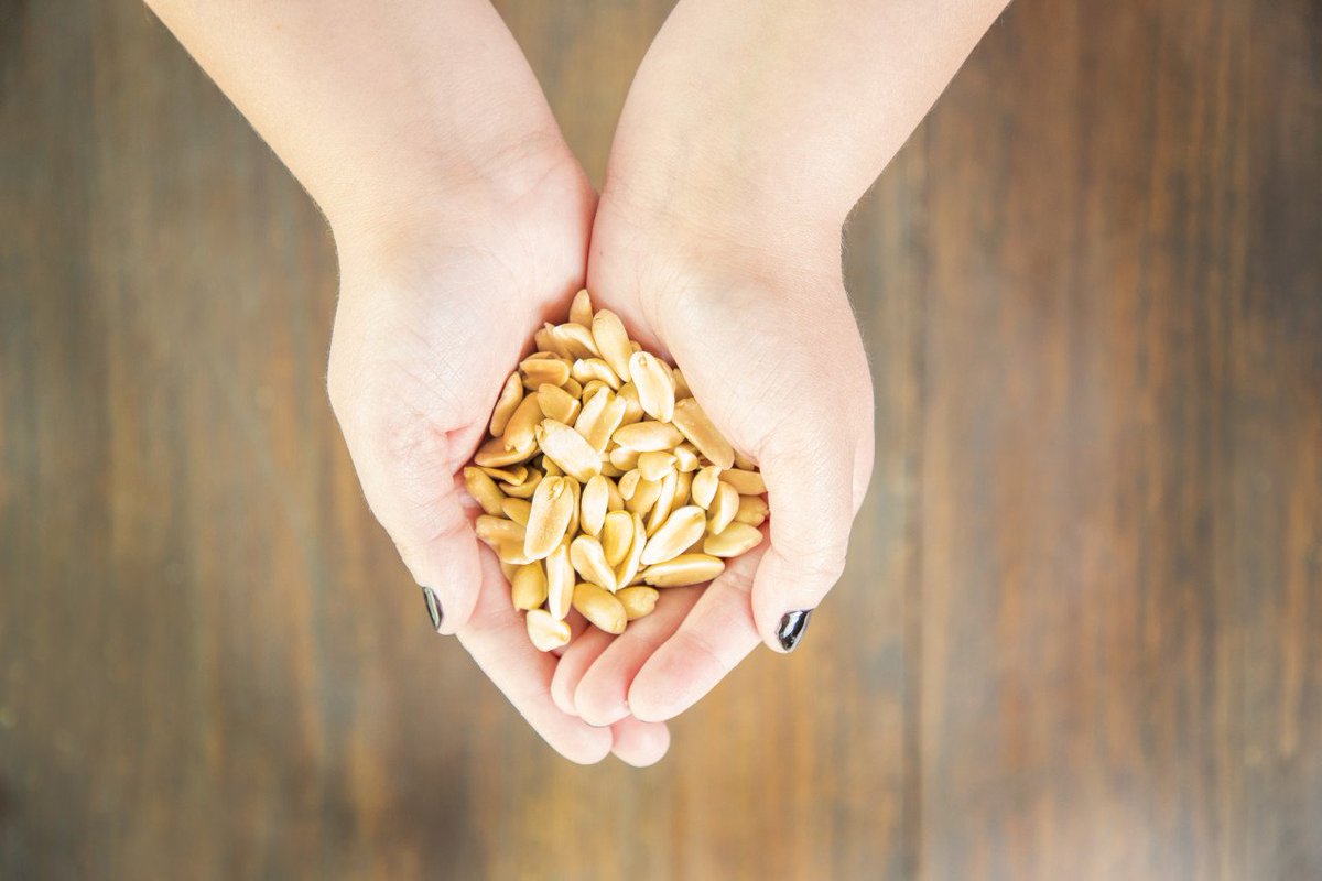 PizootzPeanuts's tweet photo. Check it out! Flavor infused peanuts - no coating 🙌🥜⠀ https://t.co/knl2IxD4li