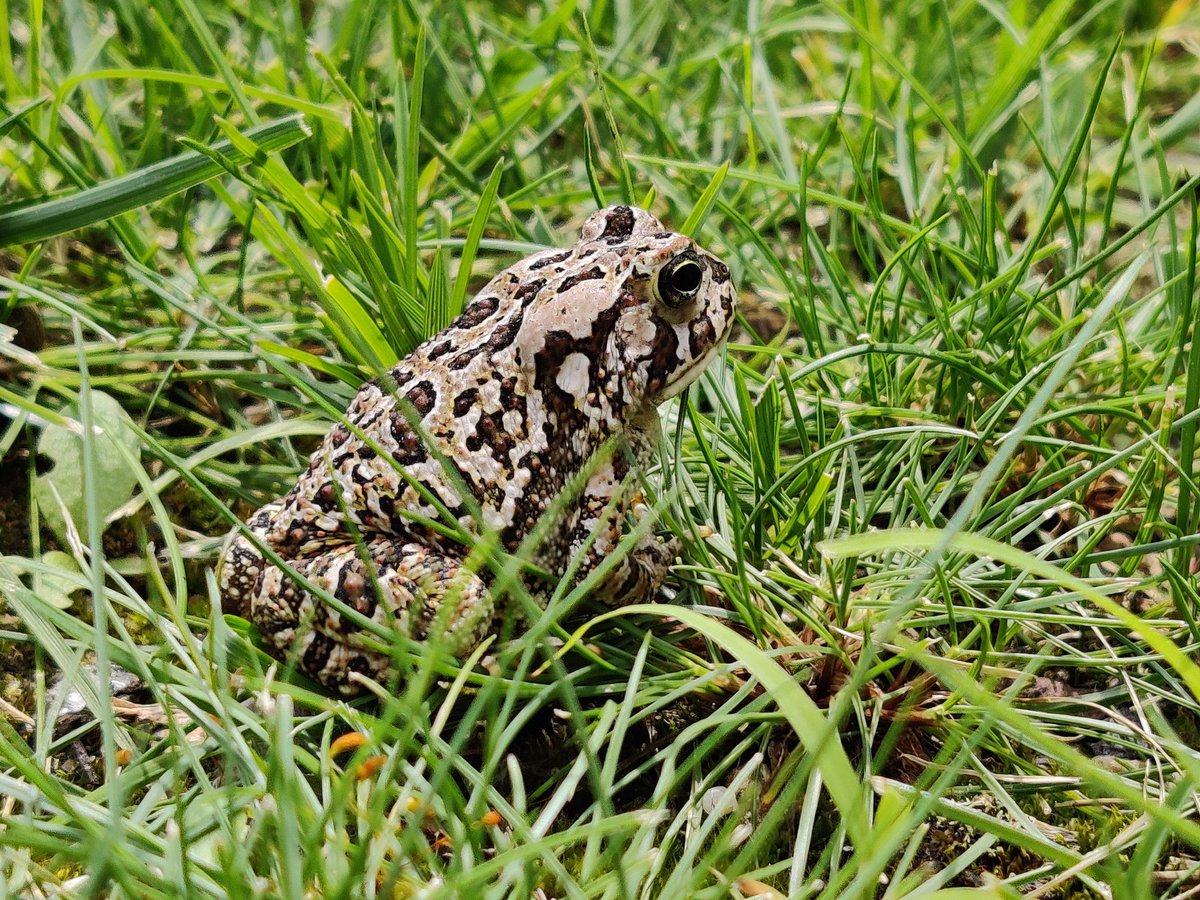 MKBHD's tweet image. He was giving me the side-eye, naturally. Shot on OnePlus 7 Pro, newest software 🐸