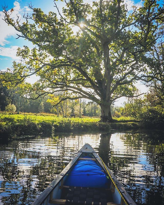 FreeWaveSteve's tweet photo. Canoeing in the New Forest •
•
•
•
•
#canoeing #newforest #riverlife #nationalpark #britishcanoeing #newforestfun #newforestactivities #liquidlogistics #canoe #paddle #paddler #welcometomyoffice #freewave https://t.co/DrtmHmkwlA https://t.co/6eyggnfZ9D