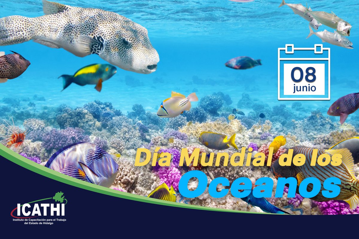 Según la #ONU, actualmente, 13 millones de toneladas de plástico se filtran en el #océano cada año, esto causa la muerte de 100 mil especies marinas, entre otros daños. Hagamos conciencia. #DíaMundialDeLosOcéanos #junio8 #EfeméridesICATHI