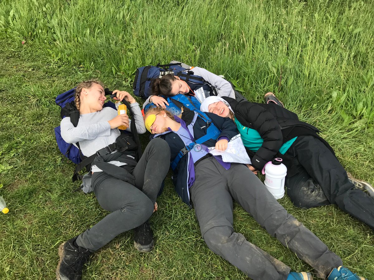 Successful walking 🌲 🍃 #bronzedofe