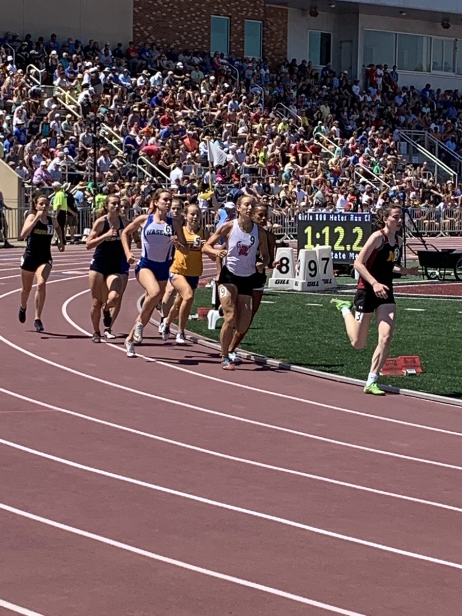 Bluejay Activities tweet media