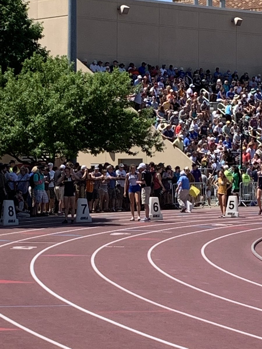 Bluejay Activities tweet media