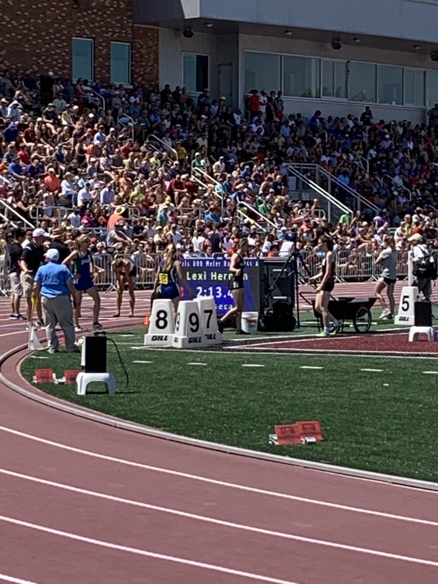 Bluejay Activities tweet media