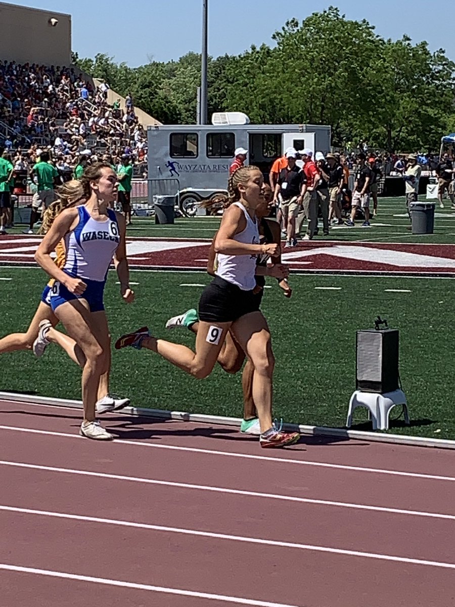 Bluejay Activities tweet media