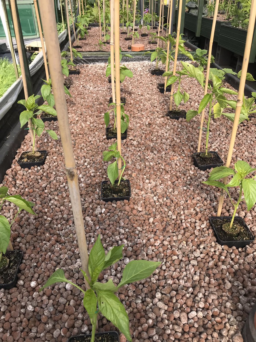 bioaquafarm.co.uk/evrplus_regist…