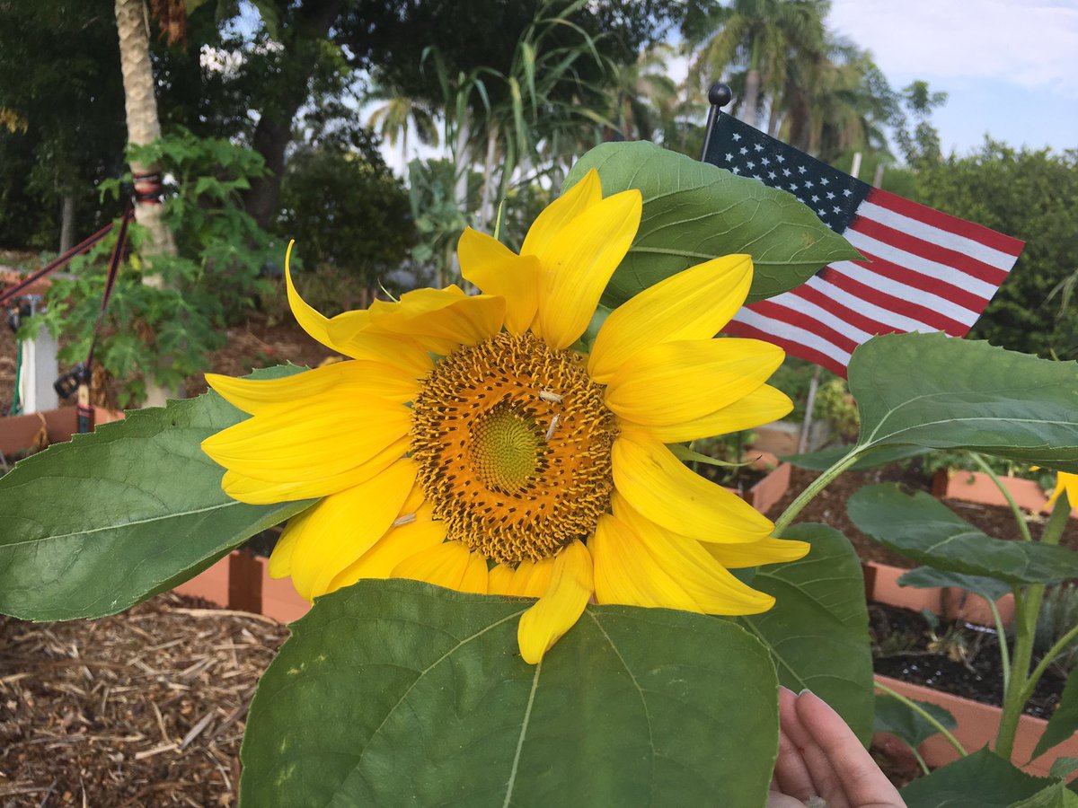 mmarfl's tweet photo. @momsdemand @wear.orange #dontshoot  @ Boca Raton, Florida @CityBocaRaton #WearOrange2019 https://t.co/jNOsgPtgsT