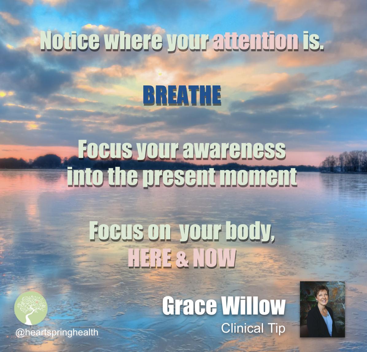 HeartSpringHeal's tweet photo. Your body cares for you - care for it! 
THIS MOMENT IS YOUR LIFE! 

Learn more about Grace Willow, LMT here: 
https://t.co/oC6q133LJs

Book today! (503)956-9396 https://t.co/iHinACaXbP