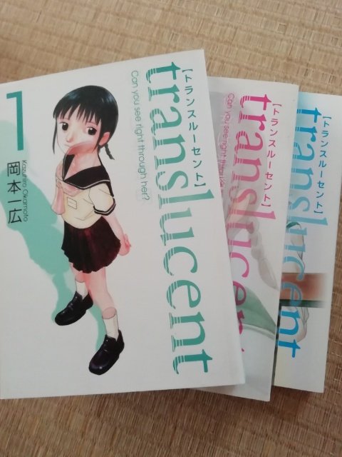 岡本一広 新たな同僚が英語が読める人なので お近づきの印に うちに死蔵してたトランスルーセントを差し上げた なぜか３巻までしか無かったけど 読み返すと おまけ漫画のダジャレに解説がしてあって申し訳なくなりました 笑