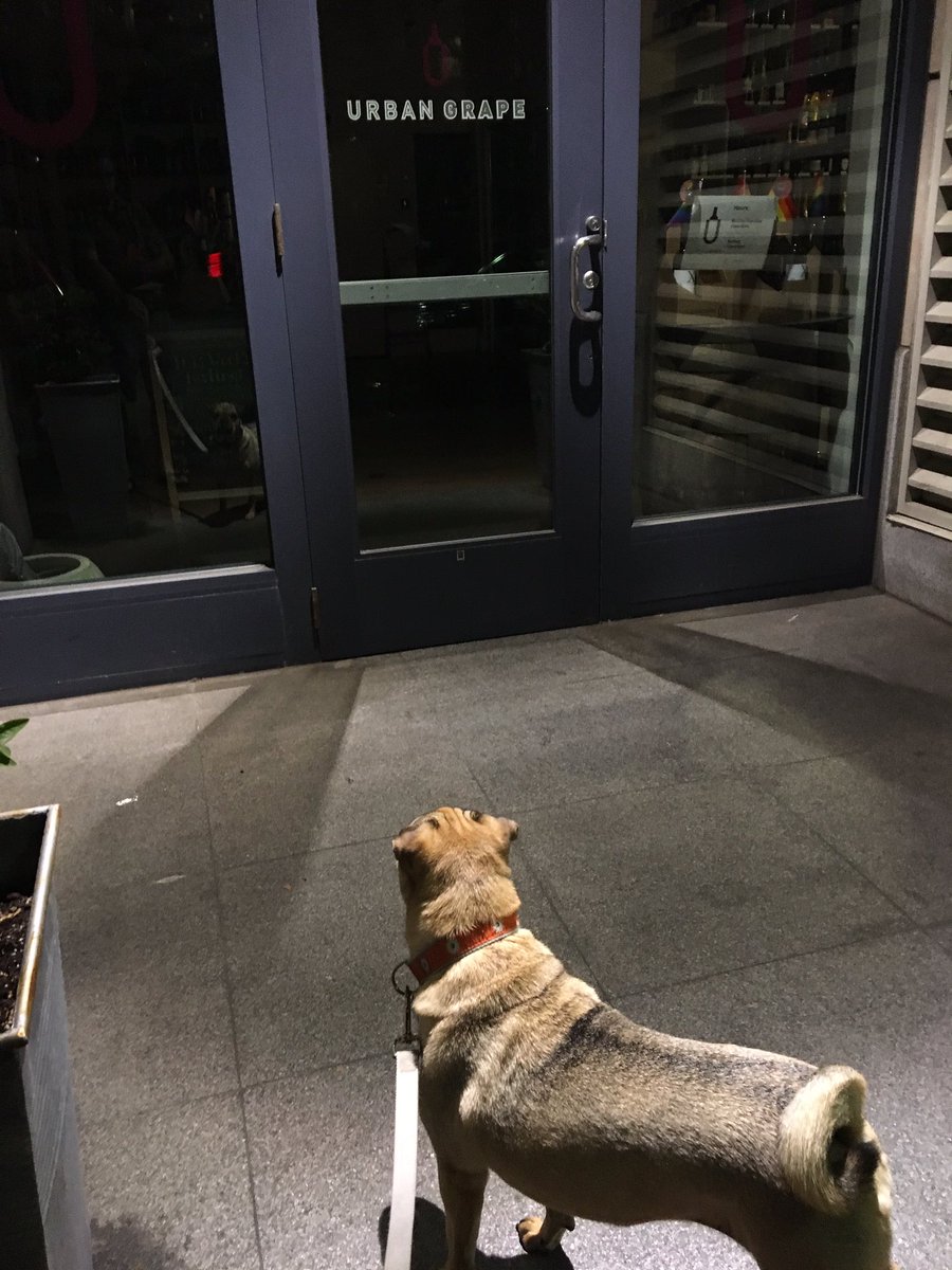 Malcolm McD tweet media