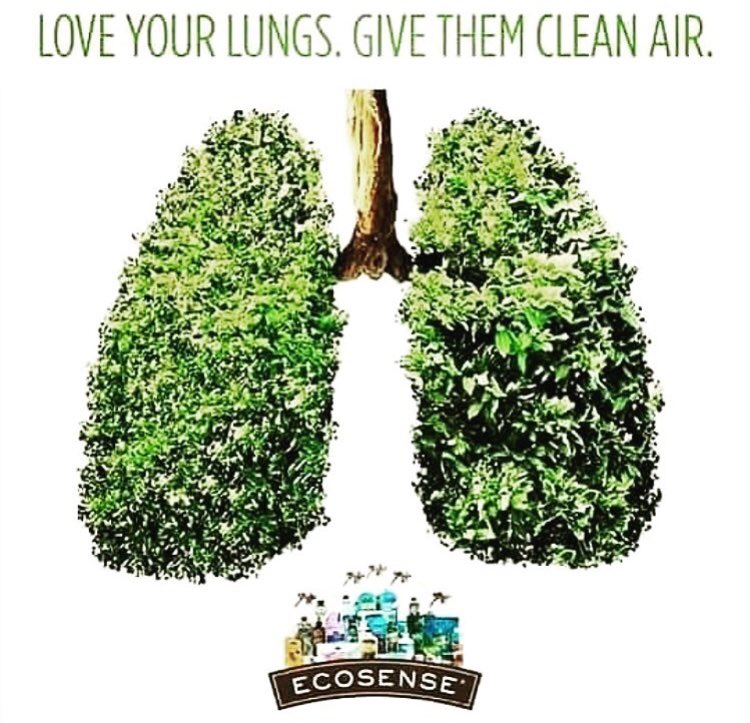 o2industries's tweet image. Clean Air Matters! 
#loveyourlungs #O2Canada #dtk #curvemask #cleanair #treesarelife #waterislife #breatheclean #lungs #wecanallmakeadifference #takecareofourworld 🌍