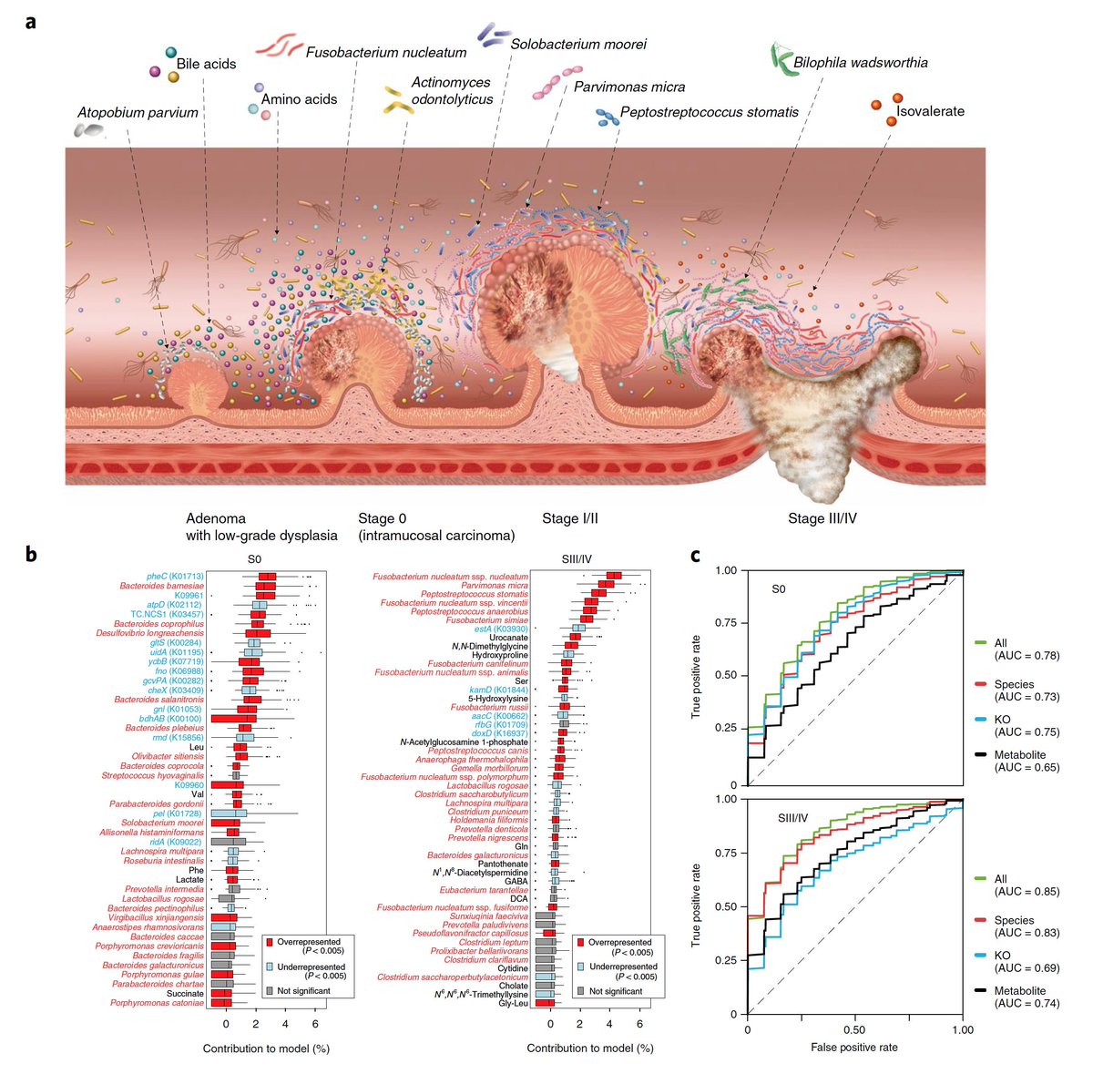 Eric Topol tweet media
