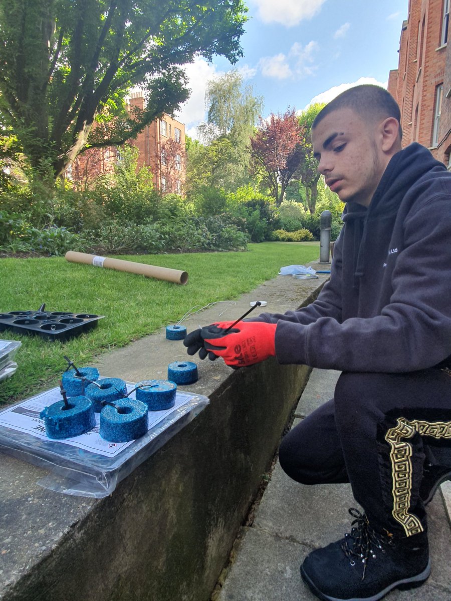 PestPorter's tweet photo. Even at 15 we teach the future how to be the best #training #Future #Pestcontrol https://t.co/5C4XItTk8C