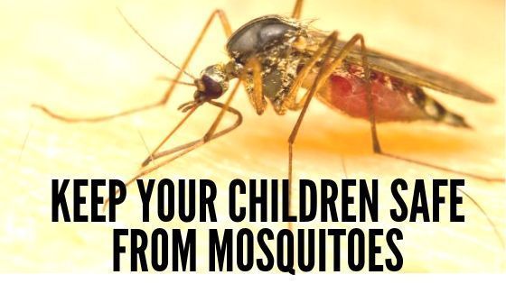 AuraofThoughts's tweet image. #MeenalSonalReads Insect repellent that is | Efficient, convenient &amp;amp; safe buff.ly/2QWJH7b via @clan_pedia #MBUMomsWhoBlog