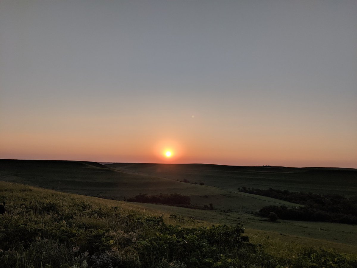 jfischerbotany's tweet photo. Sunrise on the Konza! #HERS2019 @HERSInternship https://t.co/23sFmK29Xh