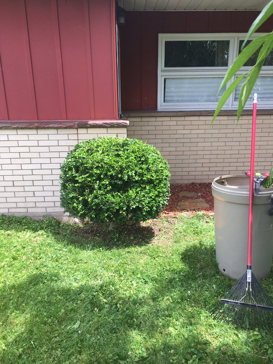 Ken_Sutton_E's tweet photo. Trimming hedges, planting trees and tending the land. Thanks to the creator for all of this. https://t.co/L8J8ObmhiT