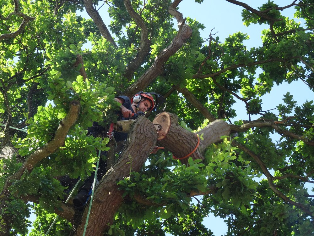 OTS Kent tweet media