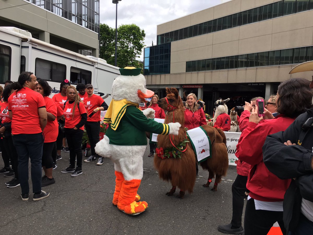 Grand Floral greetings from <a href="/uoregon/">University of Oregon</a> <a href="/GoDucks/">GoDucks</a> to <a href="/RojoTheLlama/">Rojo the Llama</a>