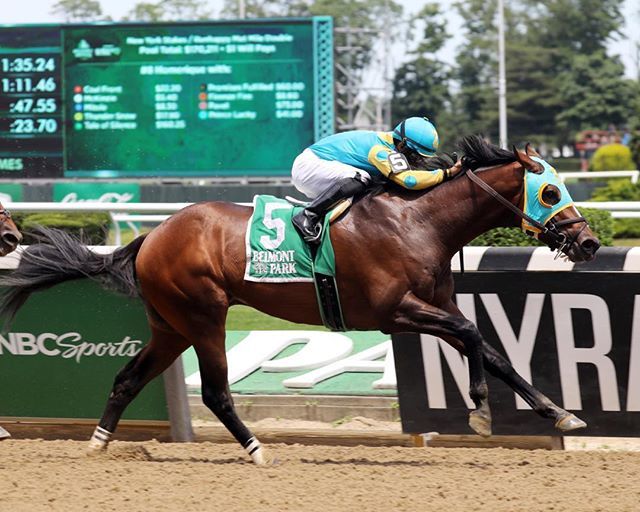 PhotosbyZ's tweet photo. Majid wins the 2019 Easy Goer at Belmont. Where have we seen those silks before? https://t.co/YEVookH46A https://t.co/xfOZU9wyLJ
