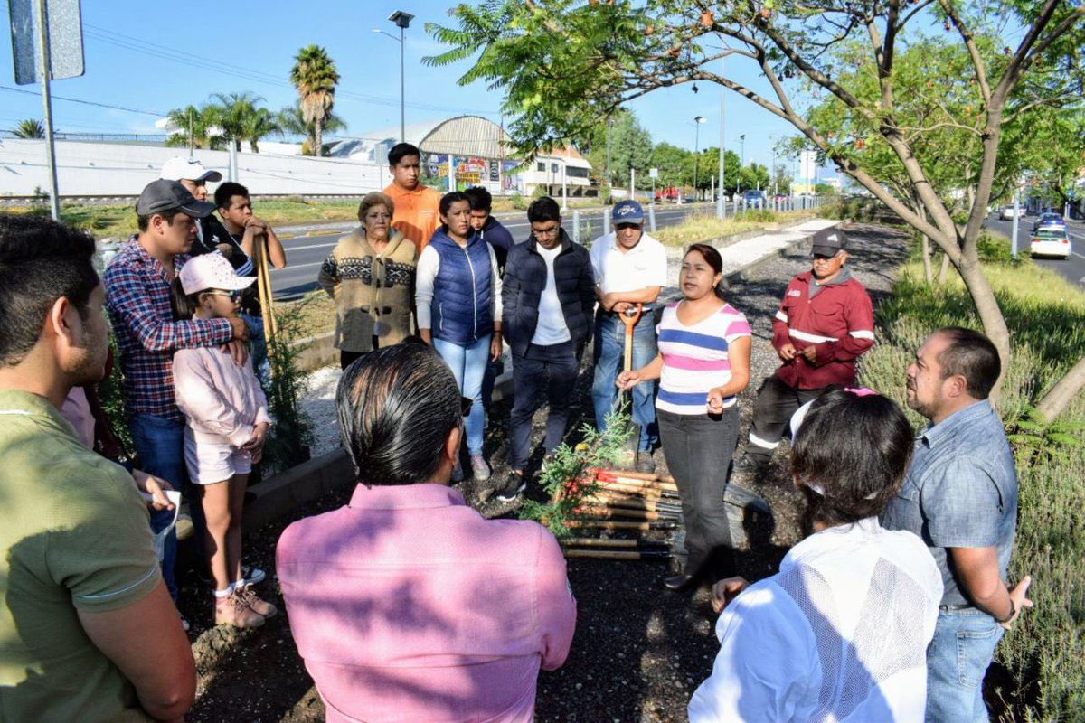 GobiernoCholula's tweet photo. Junto con vecinos de la zona de Manantiales reforestamos el Blvd. Forjadores de Puebla. 
Personal de la Secretaría de Ecología y Medio Ambiente coordinó las acciones. 
#MásUnidosMásLogros https://t.co/TX90bGh6AB