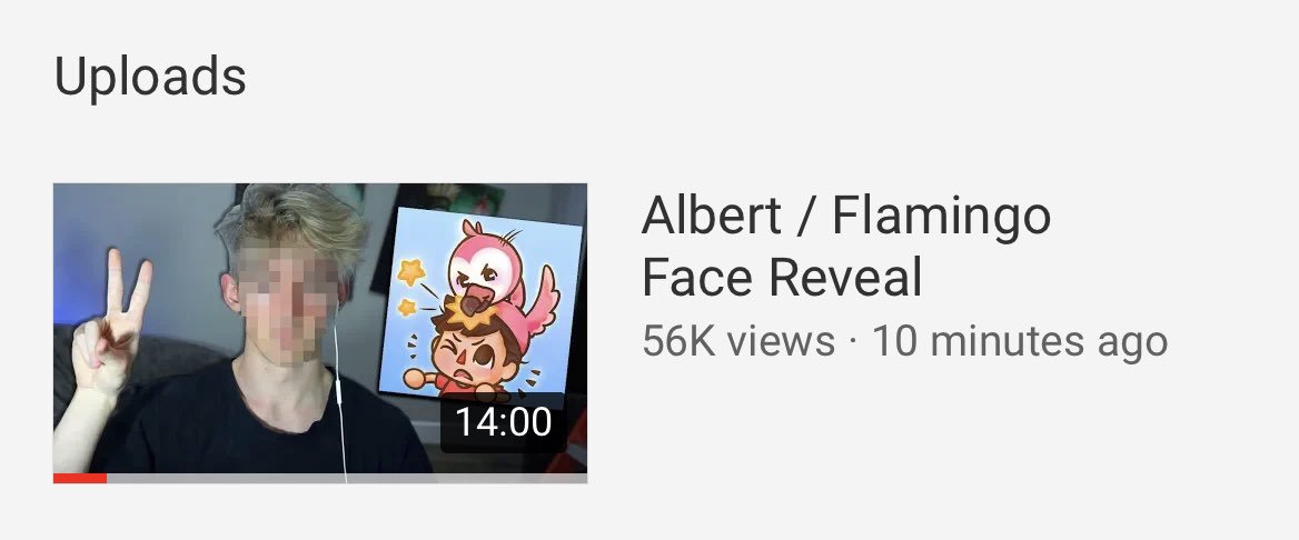 Albert On Twitter Deletes Face Reveal - roblox flamingo face reveal