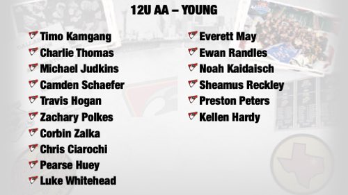 DallasPenguins's tweet image. Welcome to Pens Nation.  #gopens #2019tryouts #pensnation