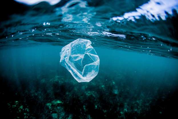 Plastic pollution in our oceans. With 8.8 million tons of plastic waste dumped into the ocean every year, there are few, if any, corners of our oceans free of pollutants. The impact of these pollutants on marine life and ecosystems is tremendous. #WorldOceansDay #Thread