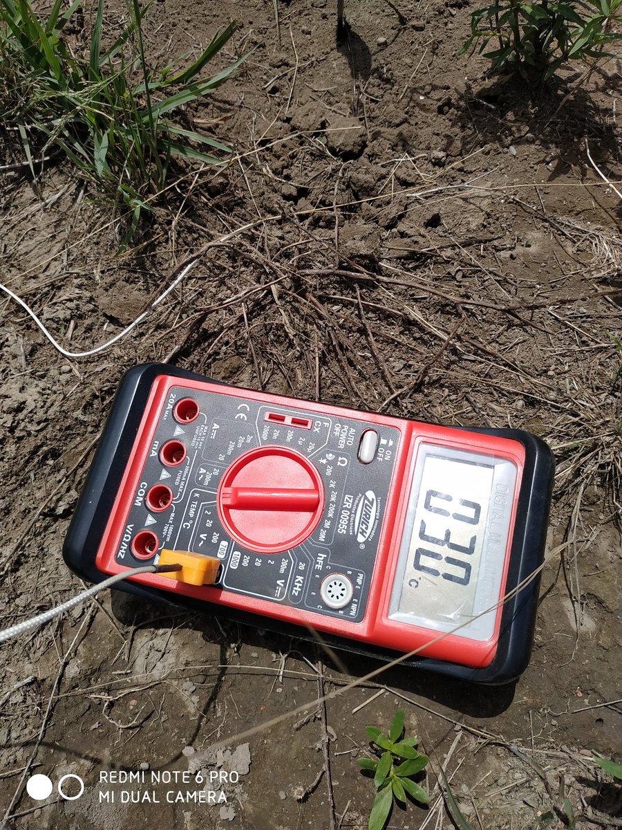 Nicolas Bronzovich tweet media