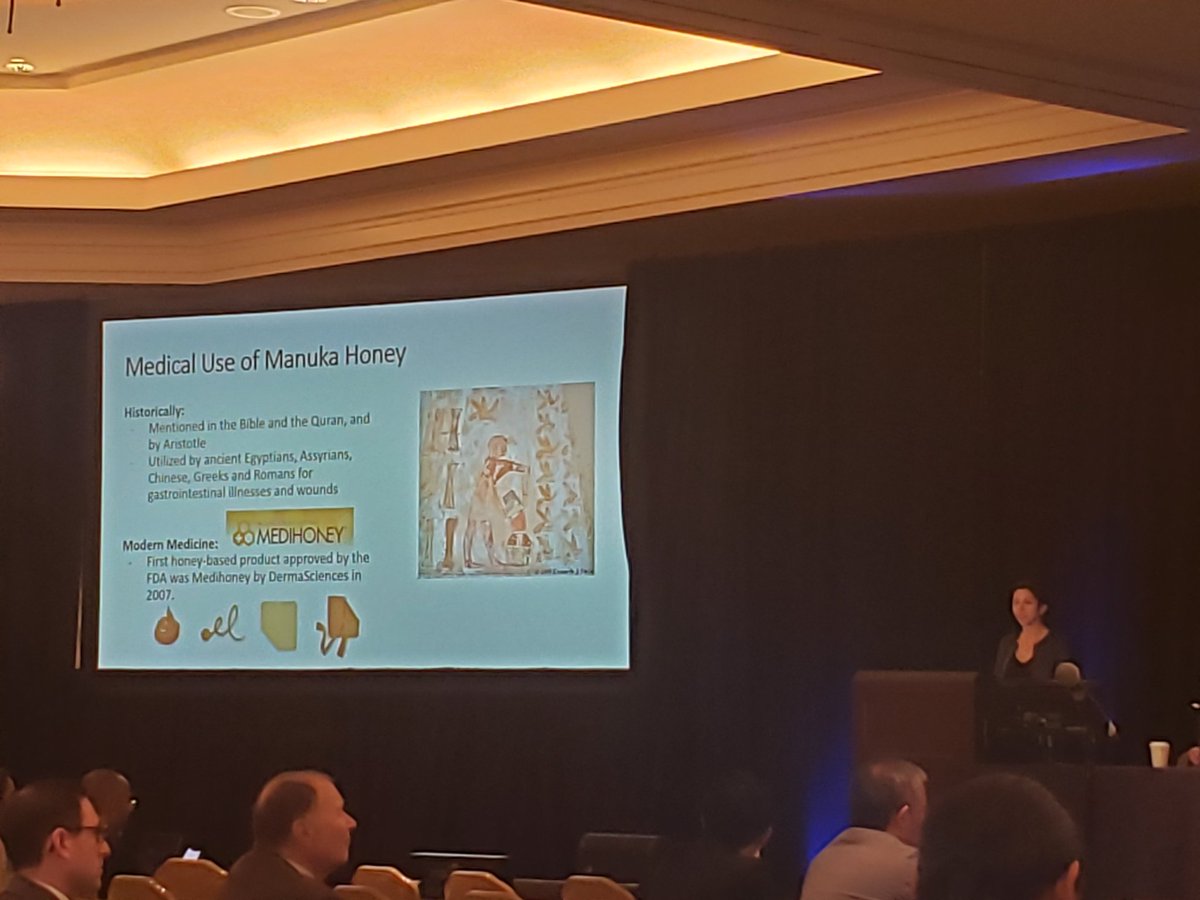 hayfarani's tweet photo. Galit Frydman presenting exciting work from our team and MIT on delivering Manukah Honey to wounds through Microneedles! 
#SIS2019 https://t.co/njrWCRJ06s