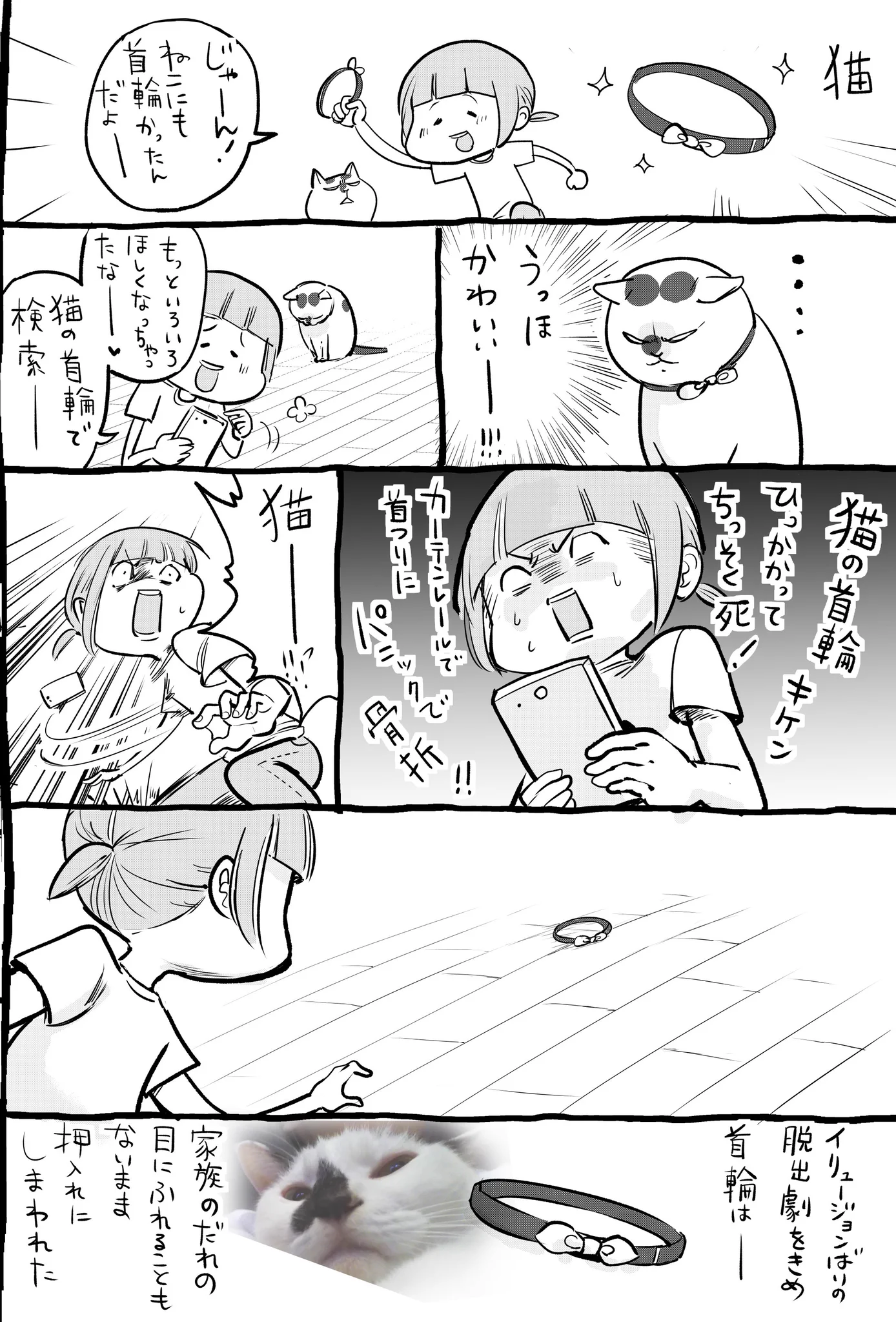 犬と猫のおしゃれが楽しい！どっちもいるって幸せ…！