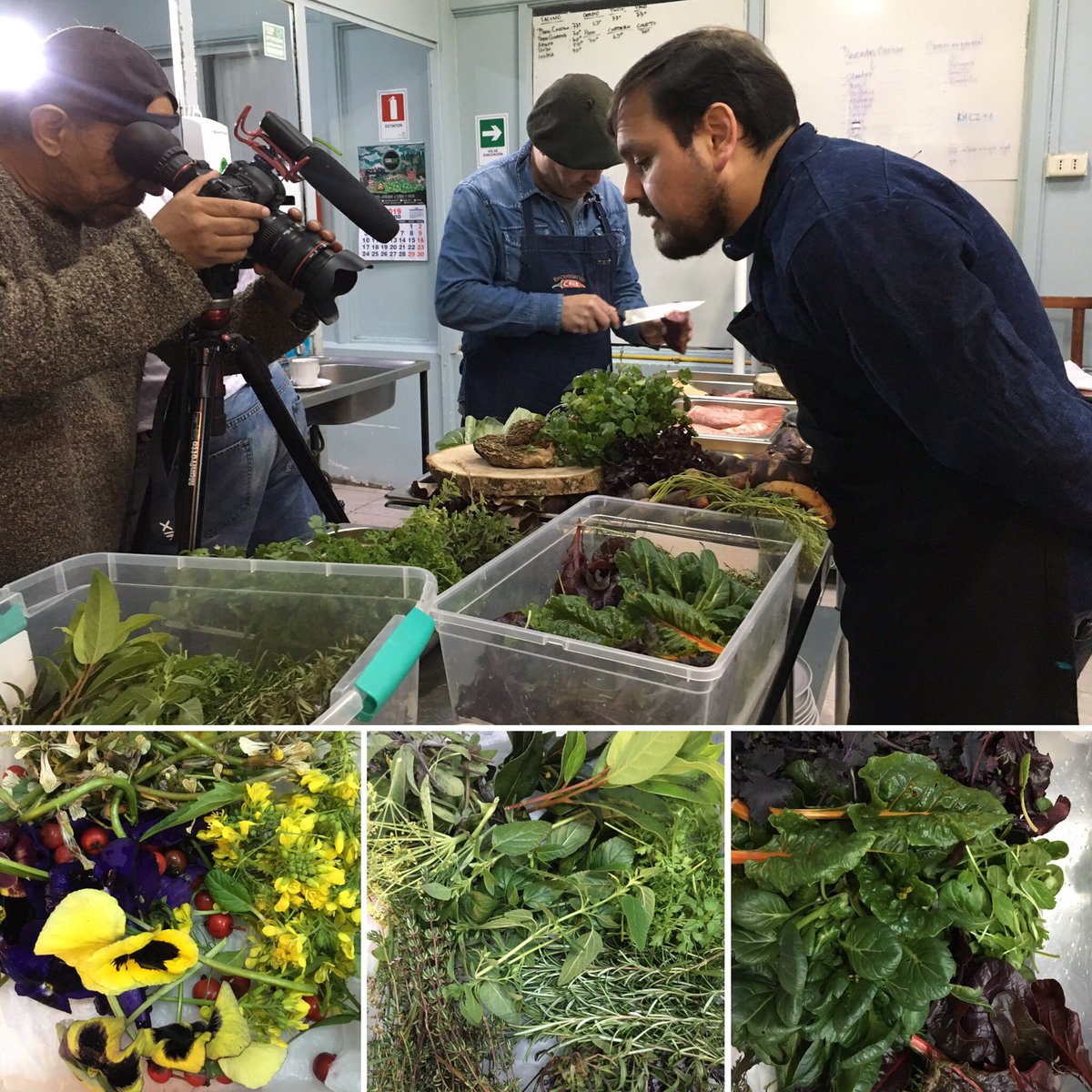 PerTurismoAysen's tweet photo. @PerTurismoAysen junto al programa @RecomiendoChile en esta oportunidad grabando en el #restoran #CB de #coyhaique quienes integran en sus platos solo productos locales de excelente calidad. #EconomiaCircular #sustentabilidad #apoyoalolocal https://t.co/0CPIfJumvQ