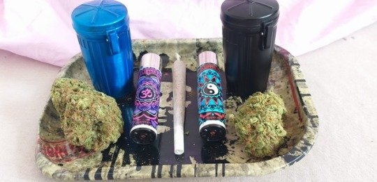 Samfran95294057's tweet photo. its a new day homie
@tommychong
 @NorCalStoner420
 @Kunzitoons
 @therealChef420
 @james_bong13
 @420linksuk
 @afterdarkmusic
 @EmeraldZoo
 @okbuddyjane
 @Cay_Cay420G
 #CannabisCommunity #StonerFam https://t.co/0S1MQcBfKo