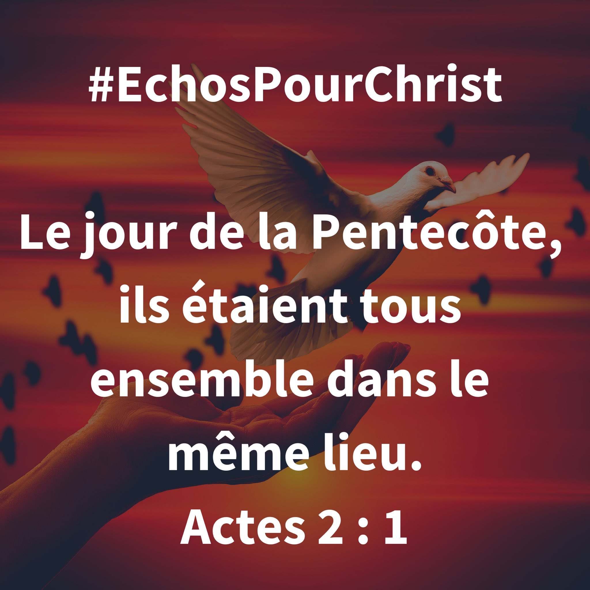 Echos Pour Christ Echospourchrist Twitter