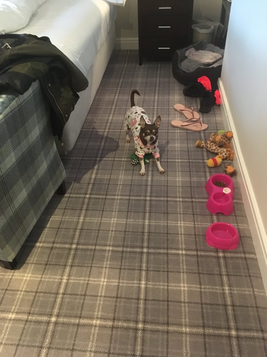 <a href="/JardinopiaLtd/">Jardinopia Ltd</a> Thank u for the reply had a lovely day at the show. Your stand looked lovely . <a href="/PeakedgeHotel/">Peak Edge Hotel, Red Lion Pub and Restaurant</a> now getting ready for bed! Hope you have a great day tomorrow . Woof Woof