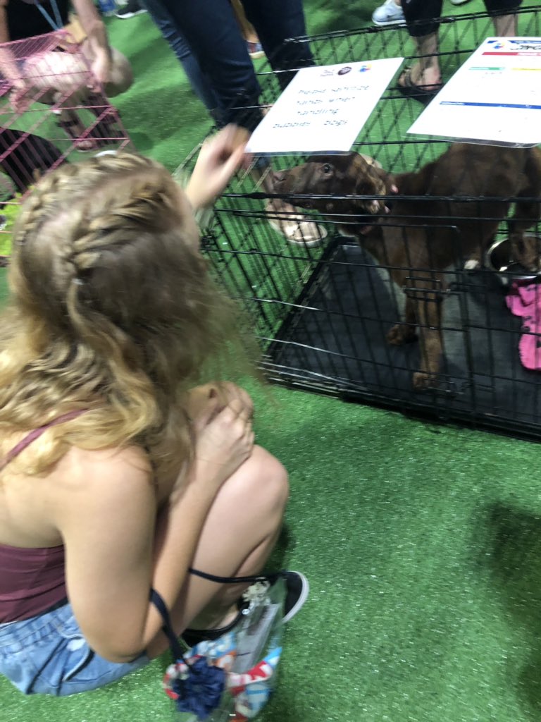 sjonas1225's tweet image. why can’t everyday be just this good 🎶.... #cmafest 🍻👢
#shewantstoadoptmiranda 🐾 
missin’ y’all @joecarterNC @Mattt_carter00 #luvyall 💙🖤
