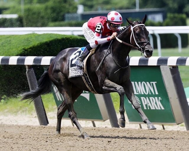 PhotosbyZ's tweet photo. Midnight Bisou wins the Ogden Phipps G 1. Great day of racing with incredible horses https://t.co/60HR2MuY0k https://t.co/hd0op858L8