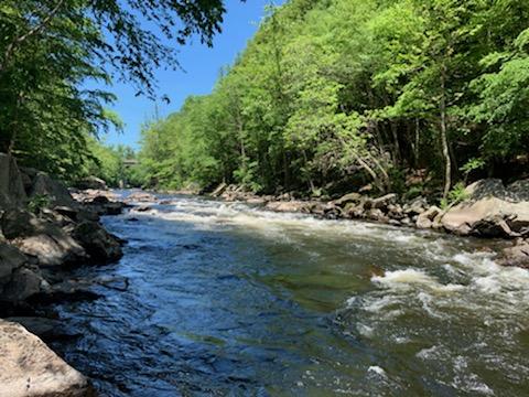RiverTubingCT's tweet photo. Farmington River Tubing today. Open tomorrow 10-5 if you missed today. https://t.co/topy7BDbX6 860-693-6465 https://t.co/mCLXqkuFQ4