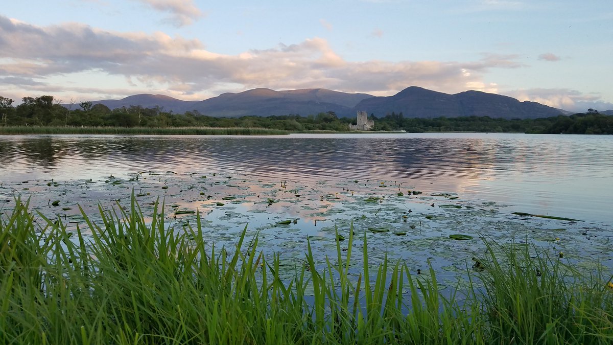 ClaudiaRueckert's tweet image. I swear I'm really here for the science ... well, like 99% ... #KSrnavirus #Killarney #RNAviruses #nature