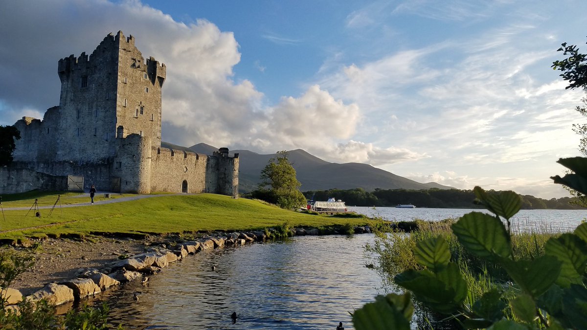 ClaudiaRueckert's tweet image. I swear I'm really here for the science ... well, like 99% ... #KSrnavirus #Killarney #RNAviruses #nature