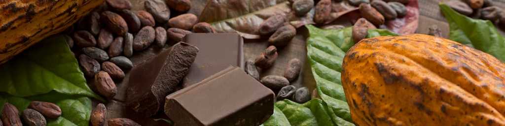 thecocoapost's tweet image. Here&apos;s How Much a Chocolate Bar Made Without Child Labor Would Cost
#cocoa #chocolate #cocoaprice #childlabour #cocoapost cocoapost.home.blog/2019/06/08/her…