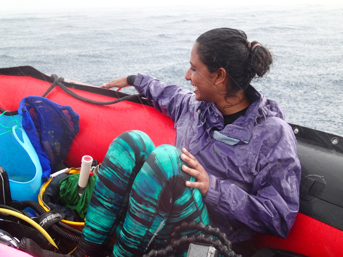 Marine_Science's tweet photo. Happy #WorldOceansDay! We are pioneering new science in one of the world’s last ocean wilderness areas, working with talented women scientists from across the world who are leaders in their field and emerging scientists who soon will be! #BIOTscience #WomenInScience https://t.co/bTYXbNIcE1